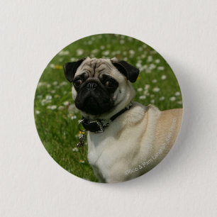 Badge Rond 5 Cm Carlin jouant en fleurs