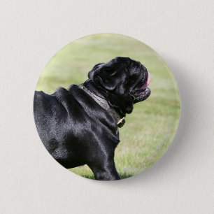 Badge Rond 5 Cm Carlin noir haletant tout en marchant