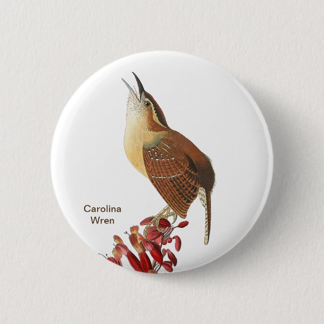 Badge Rond 5 Cm Carolina Wren, Audubon, Jardin Birdwatcher Bird (Devant)