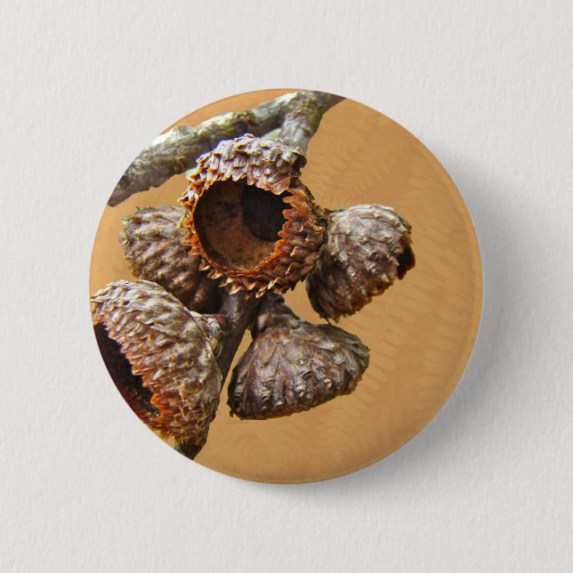 Badge Rond 5 Cm Casquettes de chêne Acorn (Devant)