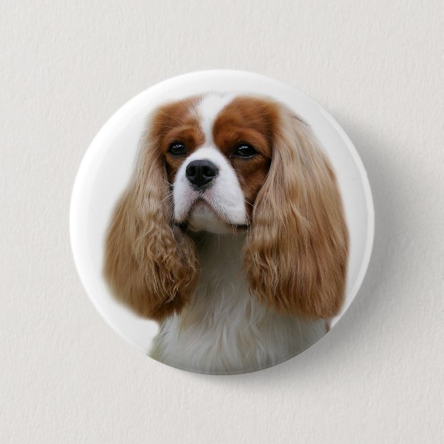 Badge Rond 5 Cm Cavalier King Charles Spaniel (Devant)