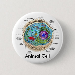 Badge Rond 5 Cm Cellule animale