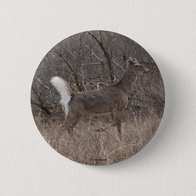 Badge Rond 5 Cm Cerf à queue blanche D1 (Devant)