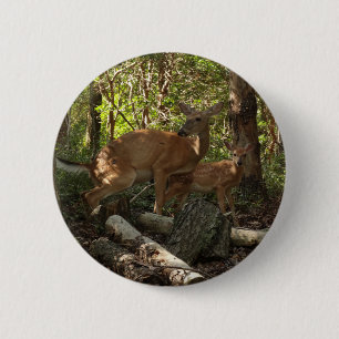 Badge Rond 5 Cm Cerf et Biche au Parc National de Shenandoah