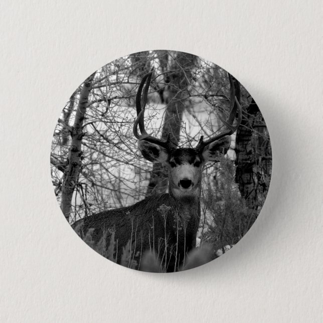 Badge Rond 5 Cm cerfs communs de mule 5x5 (Devant)