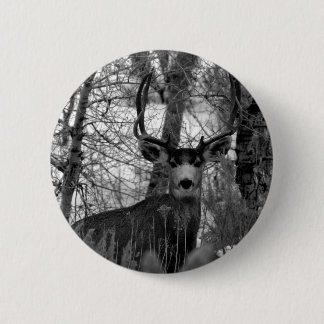 Badge Rond 5 Cm cerfs communs de mule 5x5