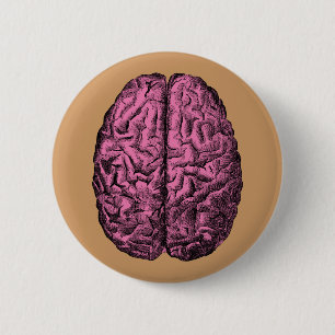 Badge Rond 5 Cm Cerveau humain d'anatomie