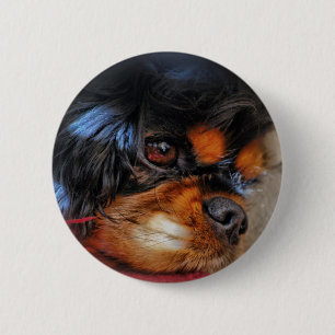 Badge Rond 5 Cm C'est UNE VIE DURE .......