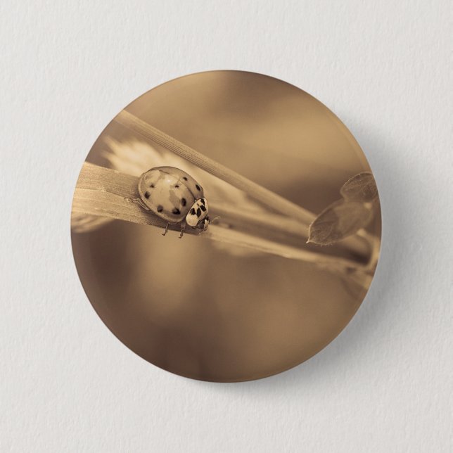 Badge Rond 5 Cm chacun des un été (Devant)