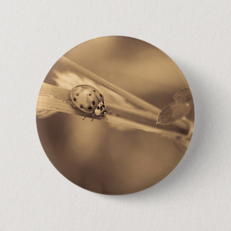 Badge Rond 5 Cm chacun des un été