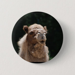 Badge Rond 5 Cm Chameau mignon