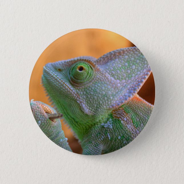Badge Rond 5 Cm Chameleon voilé (Devant)