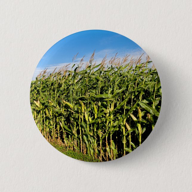 Badge Rond 5 Cm champ de maïs et ciel (Devant)