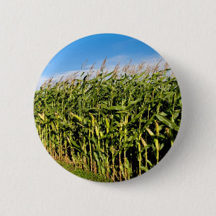 Badge Rond 5 Cm champ de maïs et ciel