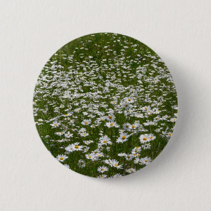 Badge Rond 5 Cm Champ de marguerites Fleurs sauvages de l'Alaska