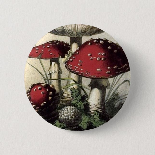 Badge Rond 5 Cm Champignon de Muscarius d'agaricus (Devant)