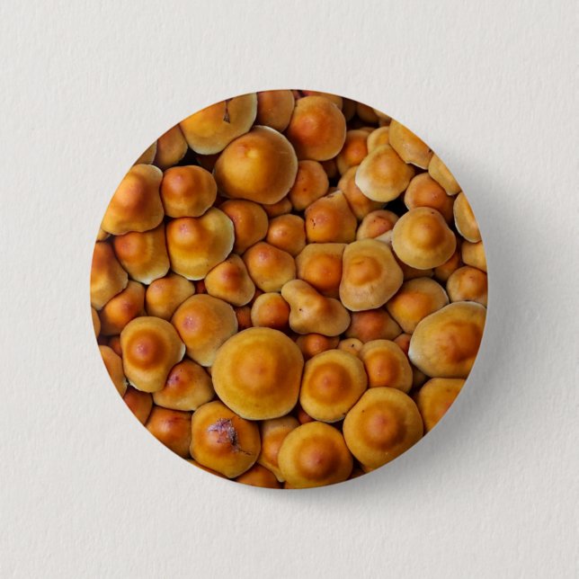 Badge Rond 5 Cm Champignons (Devant)