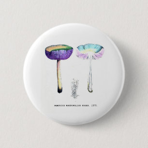 Badge Rond 5 Cm Champignons botaniques Vintages