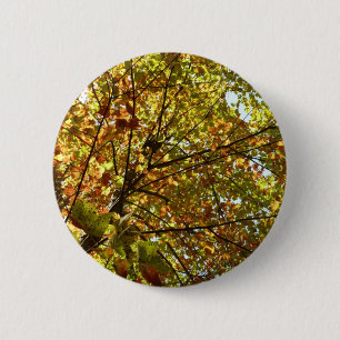 Badge Rond 5 Cm Changer l'arbre à érable Vert et Or Automne