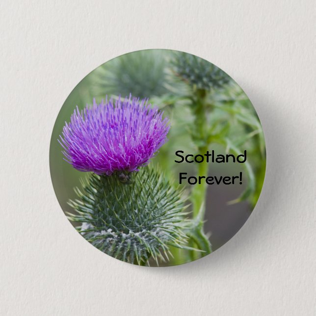 Badge Rond 5 Cm Chardon (Devant)