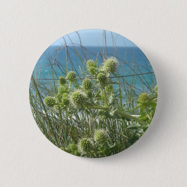 Badge Rond 5 Cm chardons (Devant)