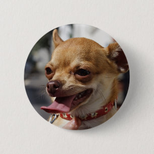 Badge Rond 5 Cm Charlie Chihuahua