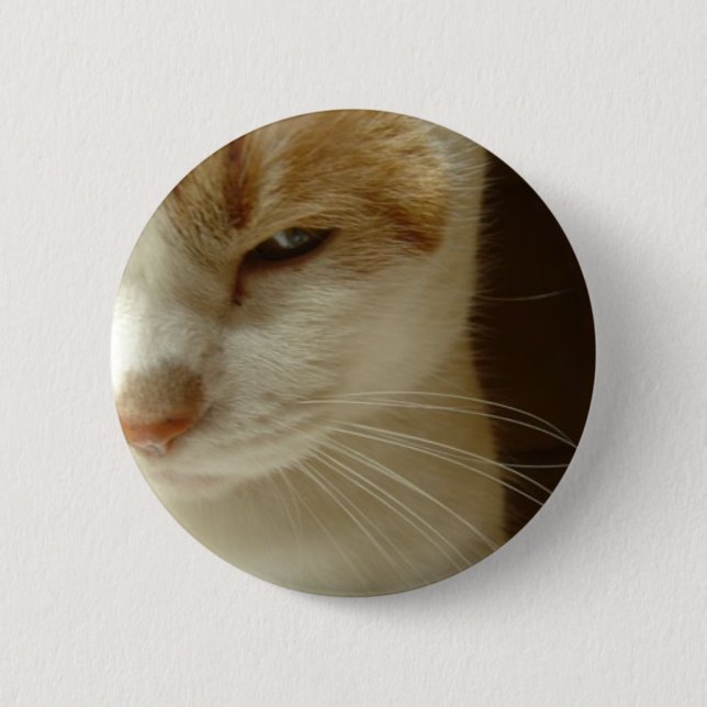 Badge Rond 5 Cm chat agissant (Devant)
