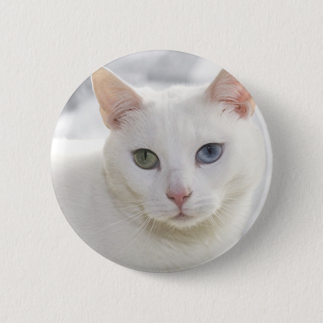 Badge Rond 5 Cm chat blanc aux yeux étranges (Devant)