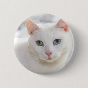 Badge Rond 5 Cm chat blanc aux yeux étranges