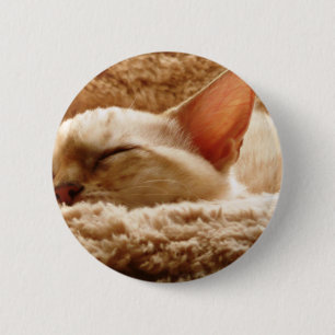 Badge Rond 5 Cm Chat couché