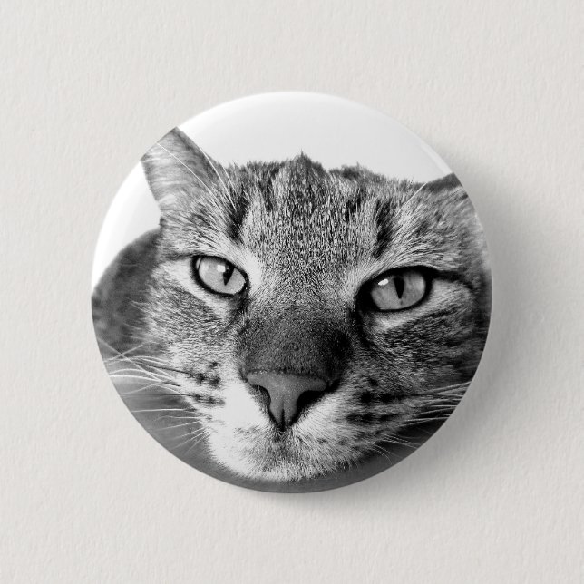 Badge Rond 5 Cm Chat couché (Devant)