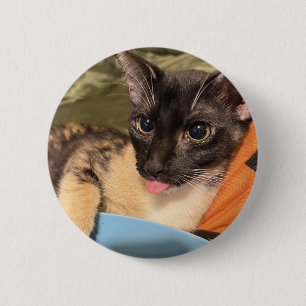 Badge Rond 5 Cm Chat débile