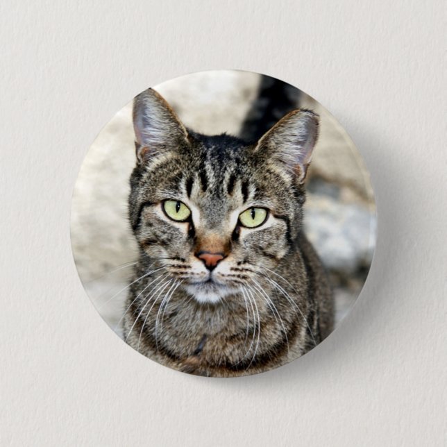 Badge Rond 5 Cm Chat égyptien (Devant)