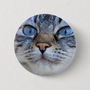 Badge Rond 5 Cm Chat gris