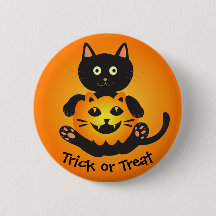 Chat Holding Jack-o'-Lantern