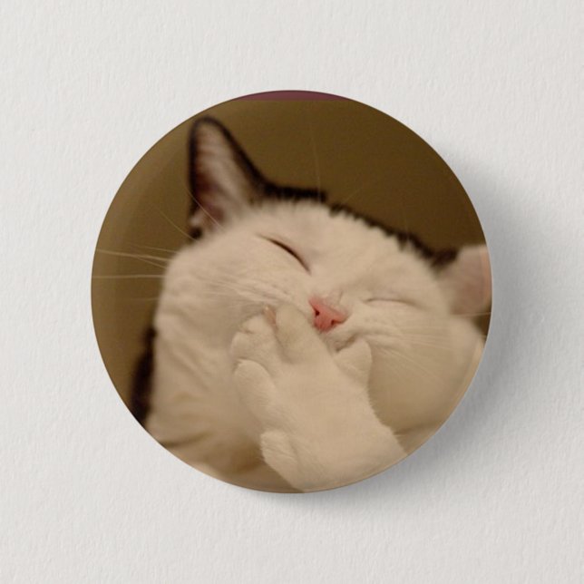 Badge Rond 5 Cm Chat idiot Buton (Devant)