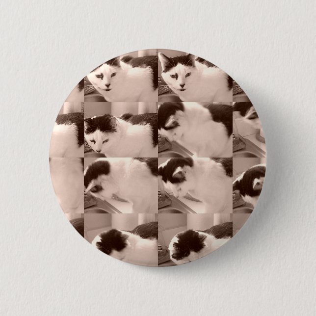 Badge Rond 5 Cm Chat Kitty/Photo noir et blanc (Devant)