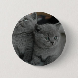 Badge Rond 5 Cm chat mignon de jeune de chaton d'animal familier