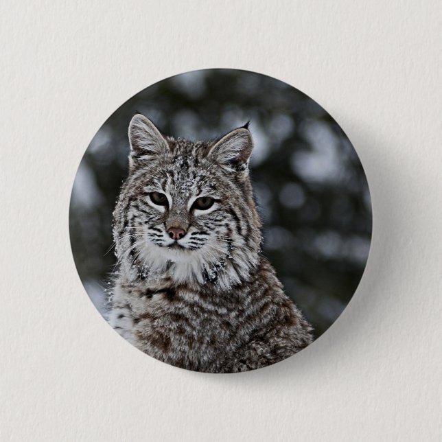 Badge Rond 5 Cm Chat sauvage dans la neige (Devant)