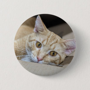 Badge Rond 5 Cm Chat tigré orange Mignon 