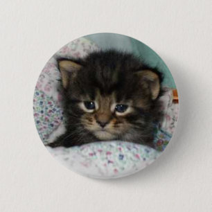 Badge Rond 5 Cm Chaton