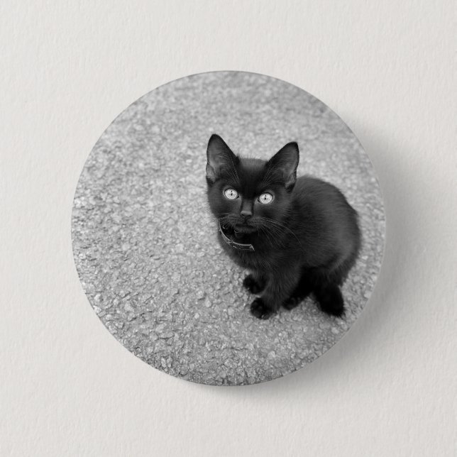 Badge Rond 5 Cm Chaton noir (Devant)