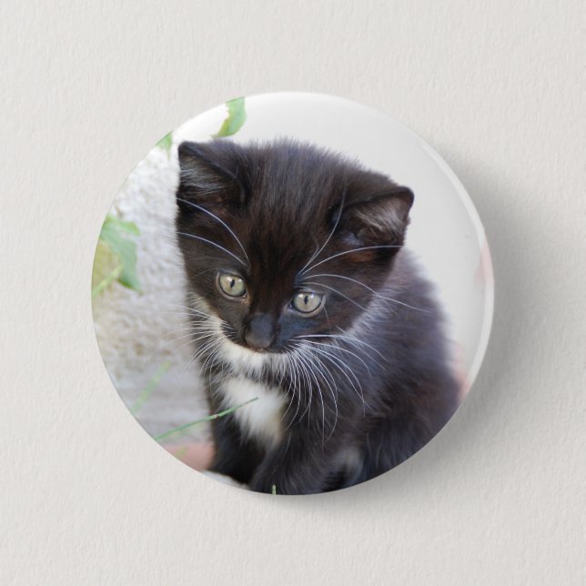 Badge Rond 5 Cm Chaton noir et blanc (Devant)
