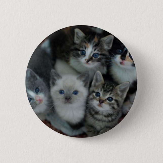 Badge Rond 5 Cm Chatons dans un panier (Devant)