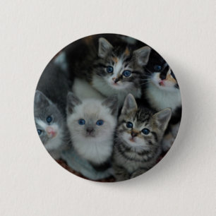 Badge Rond 5 Cm Chatons dans un panier