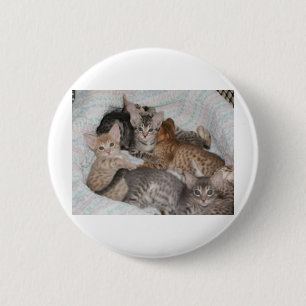BADGE ROND 5 CM CHATONS MIGNONS DANS UN PANIER