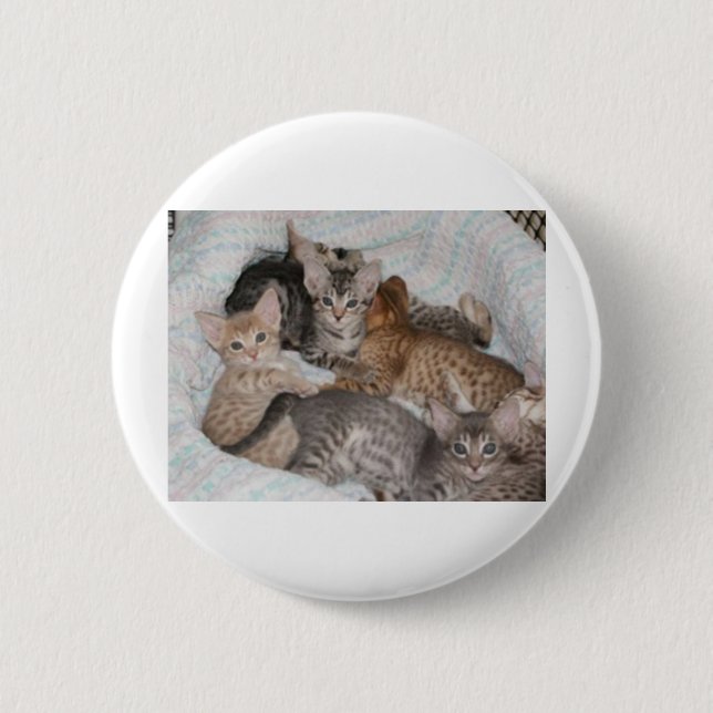BADGE ROND 5 CM CHATONS MIGNONS DANS UN PANIER (Devant)