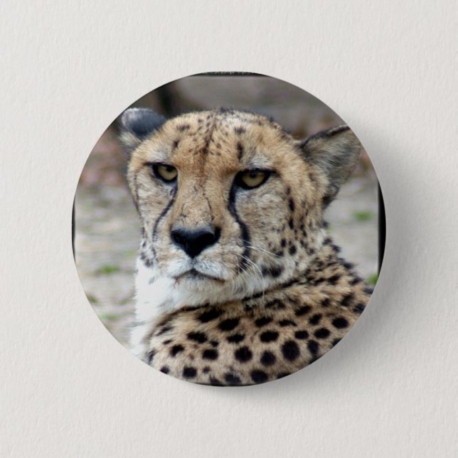 Badge Rond 5 Cm Cheetah-8934e-Bfram (Devant)