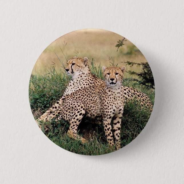 Badge Rond 5 Cm Cheetah Pair (Devant)