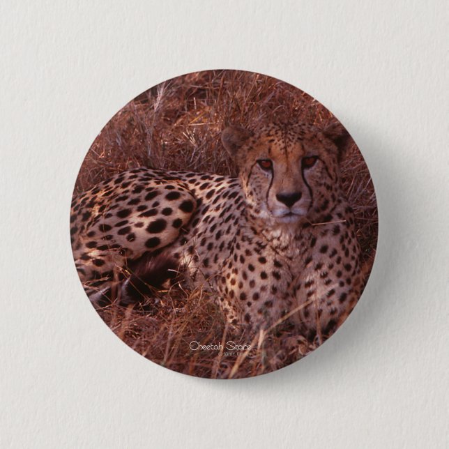 Badge Rond 5 Cm Cheetah Stare (Devant)